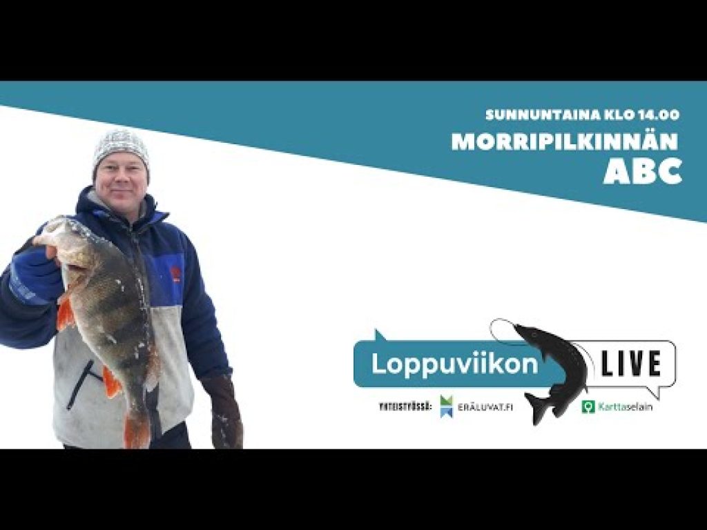 Morripilkinnän ABC | Loppuviikon LivE
