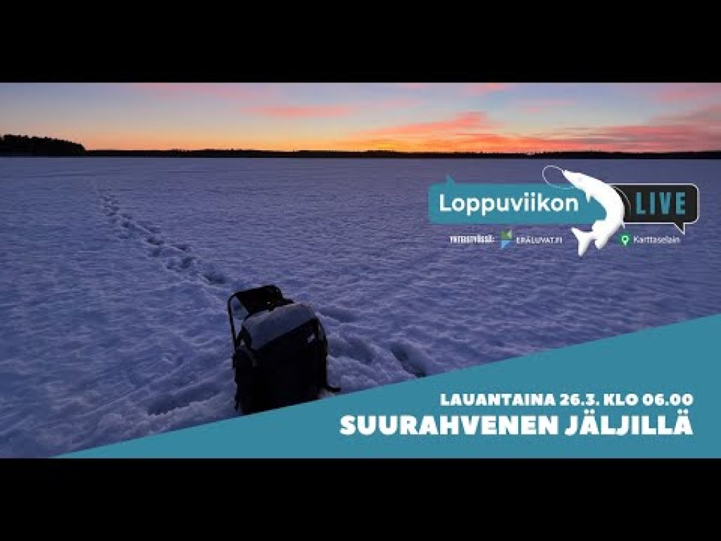 Suurahvenen jäljillä