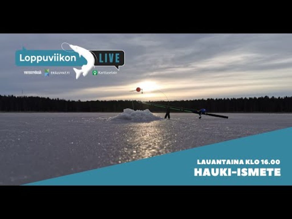 Komea hauki täkyongella eli ismetellä