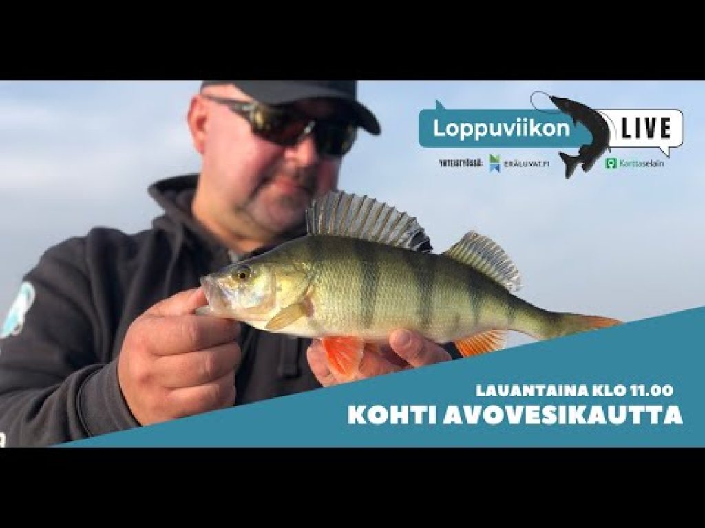 Loppuviikon LivE: Kohti avovesikautta