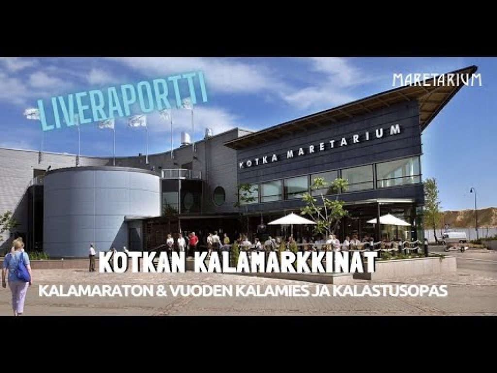 Liveraportti: Kotkan kalamarkkinat