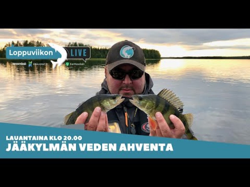 Ahventa jääkylmästä vedestä