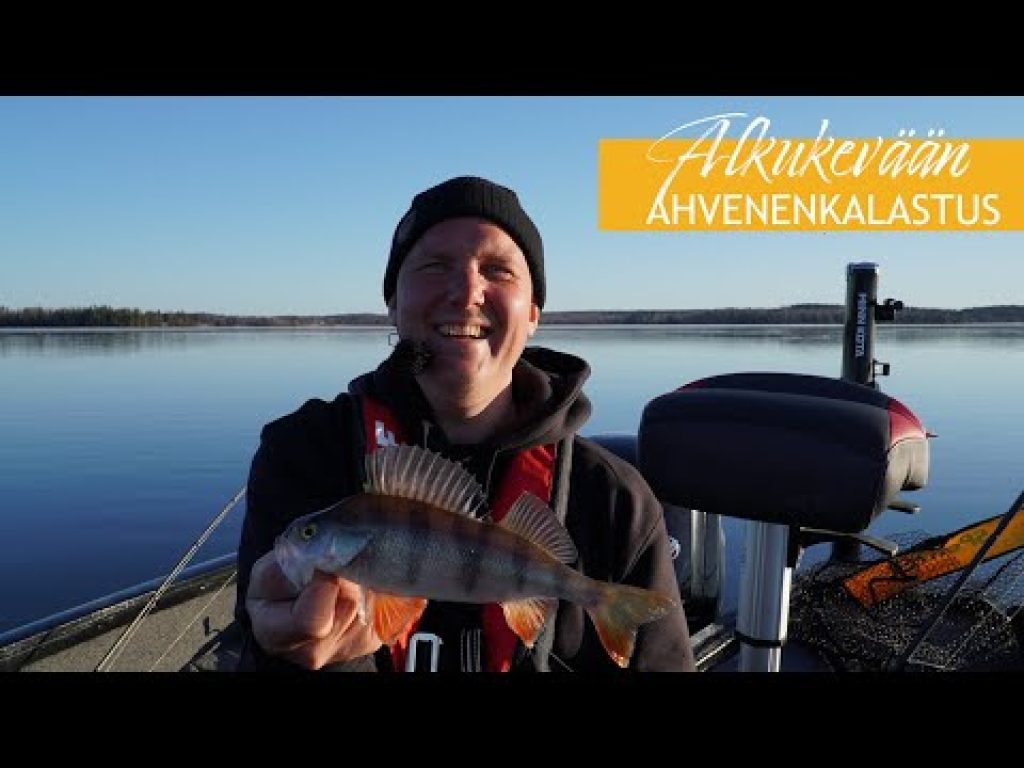 Kylmän veden ahvenenkalastusta Kallen kanssa