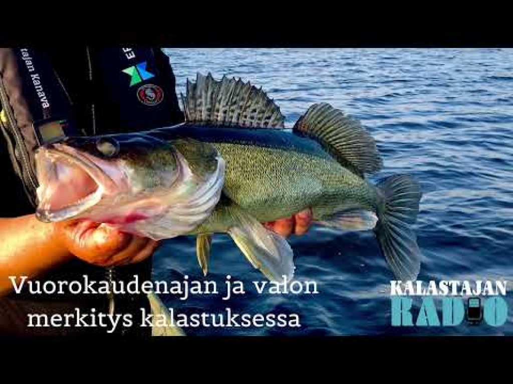 Kalastajan Radio: Vuorokaudenajan ja valon merkitys kalastuksessa