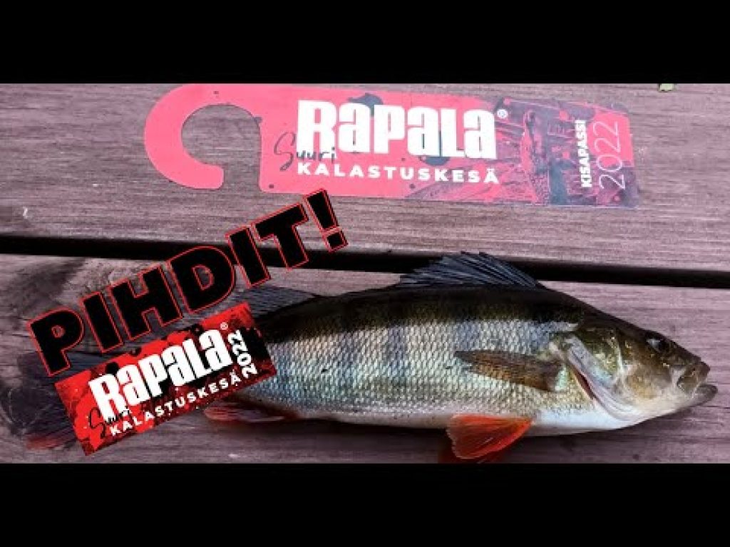 Suuri kalastuskesä -livelähetys