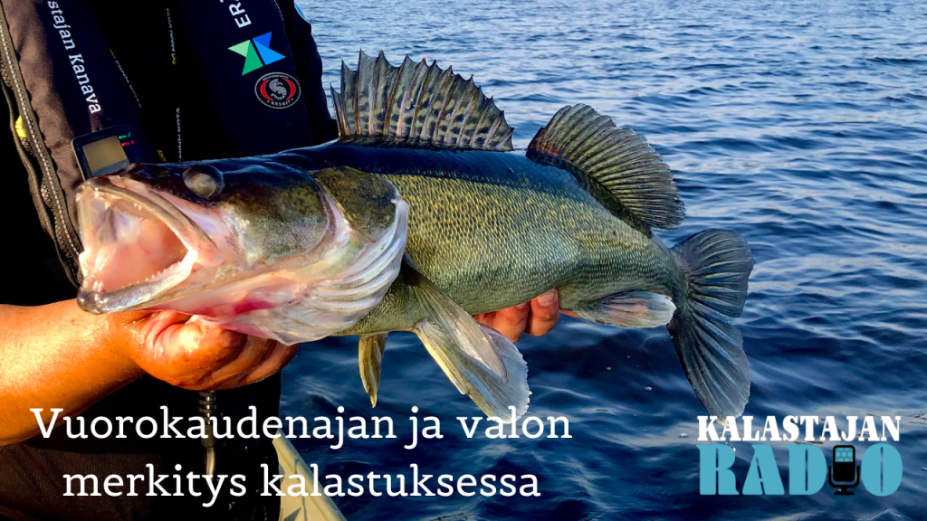 Kalastajan Radio: Vuorokaudenajan ja valon merkitys kalastuksessa