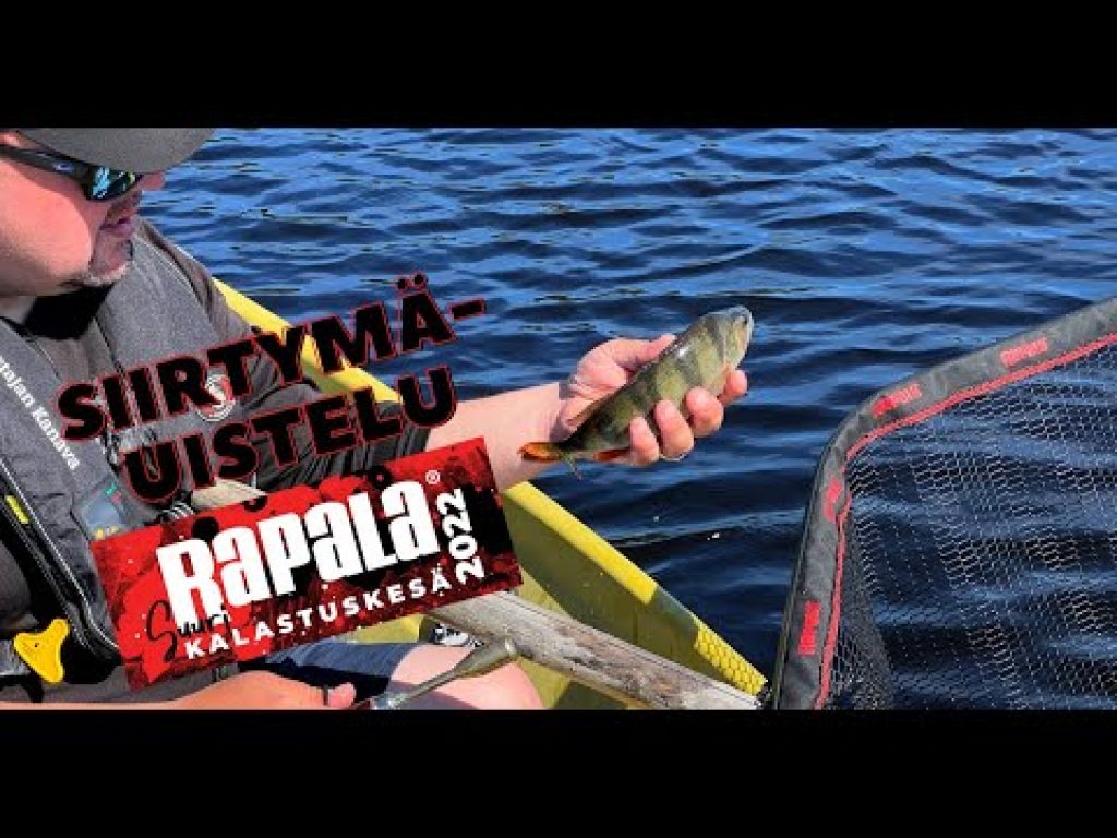 Suuri Kalastuskesä: Siirtymäuistelu