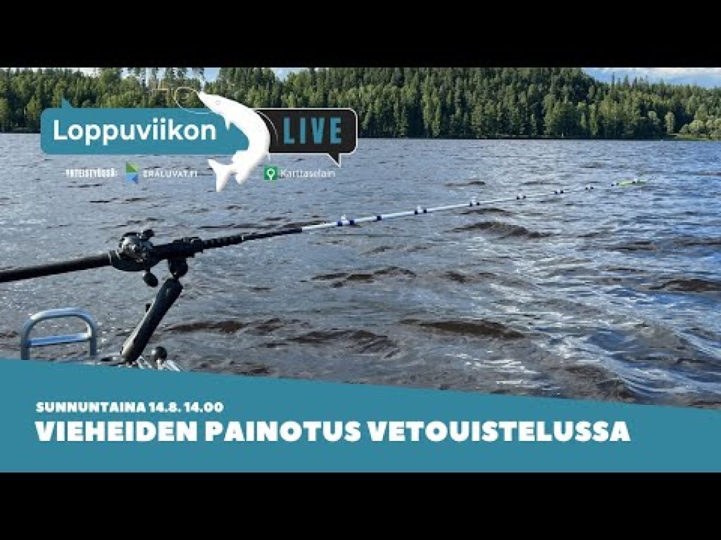 Loppuviikon LivE: Vieheiden painotus vetouistelussa