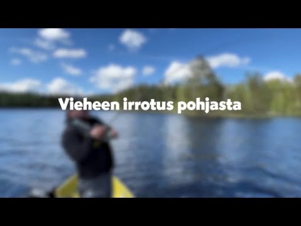 Vieheen irrotus pohjasta