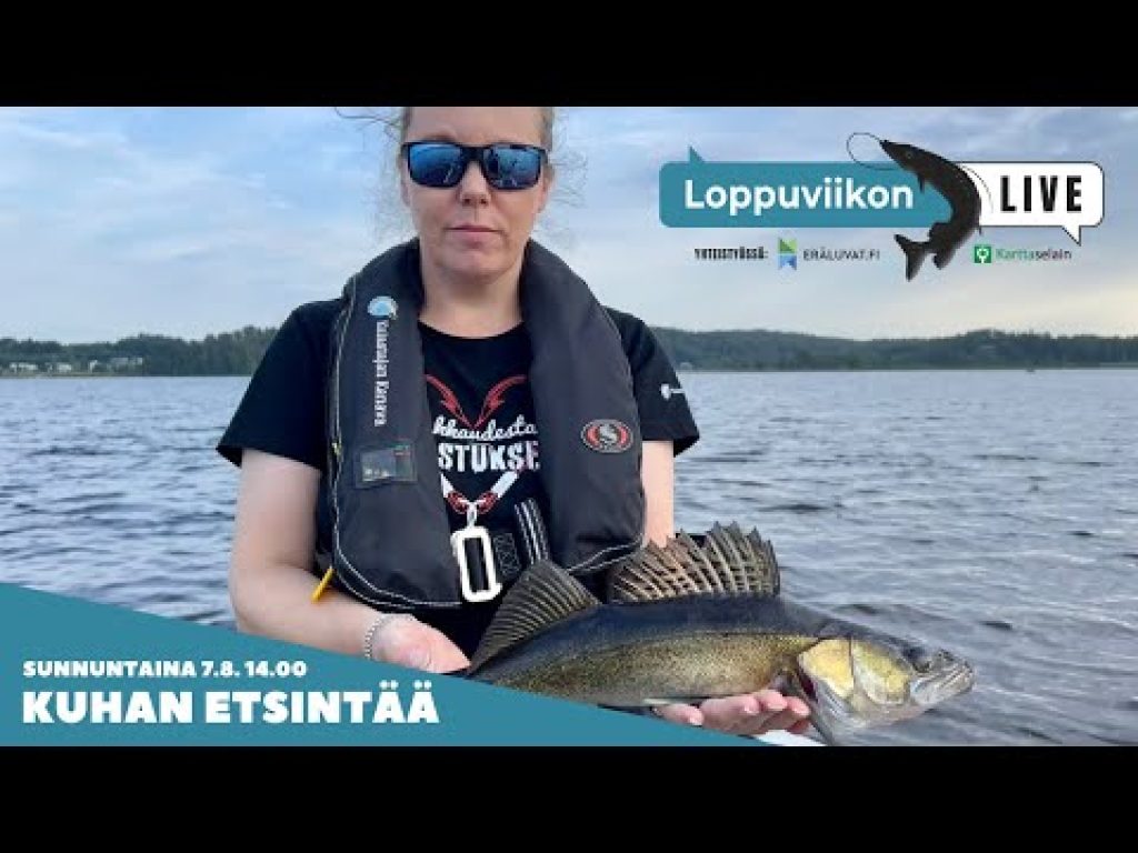 Loppuviikon LivE: Kuhaa etsimään