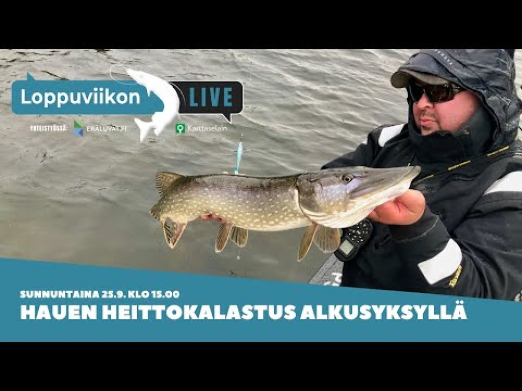 Hauen heittokalastus alkusyksyllä