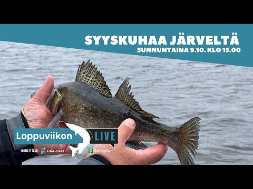 Loppuviikon LivE: Syyskuhaa järveltä