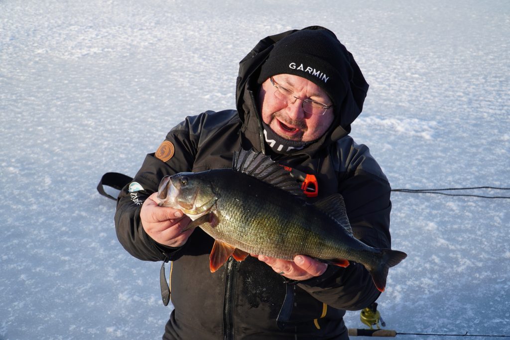 Ison ahvenen pilkintää | ENNÄTYSAHVEN SAIMAALTA