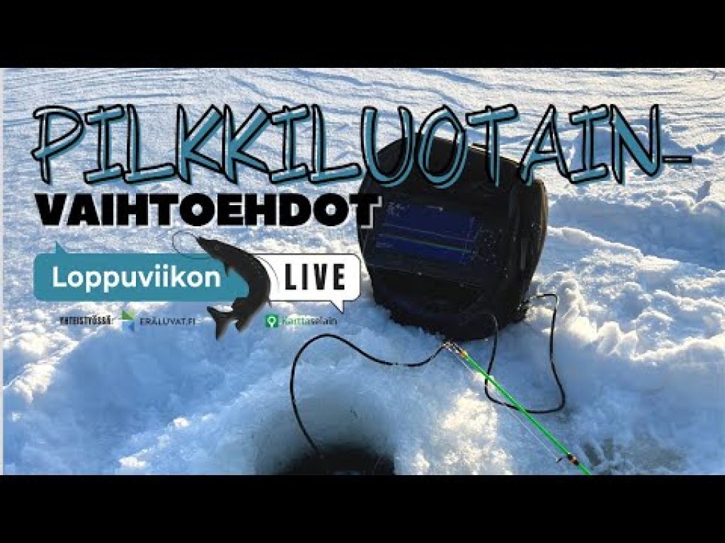 PILKKILUOTAIMEN VALINTA – Mitä eroja ja mitä ottaa huomioon?