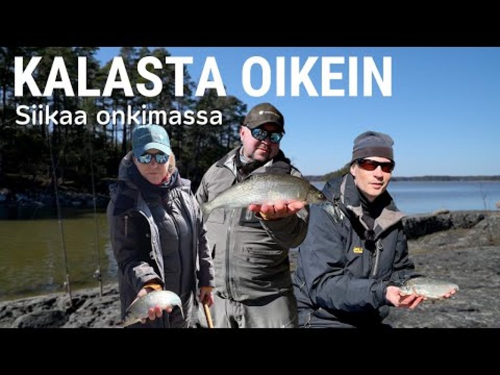 Siikaa onkimassa | Kalasta oikein