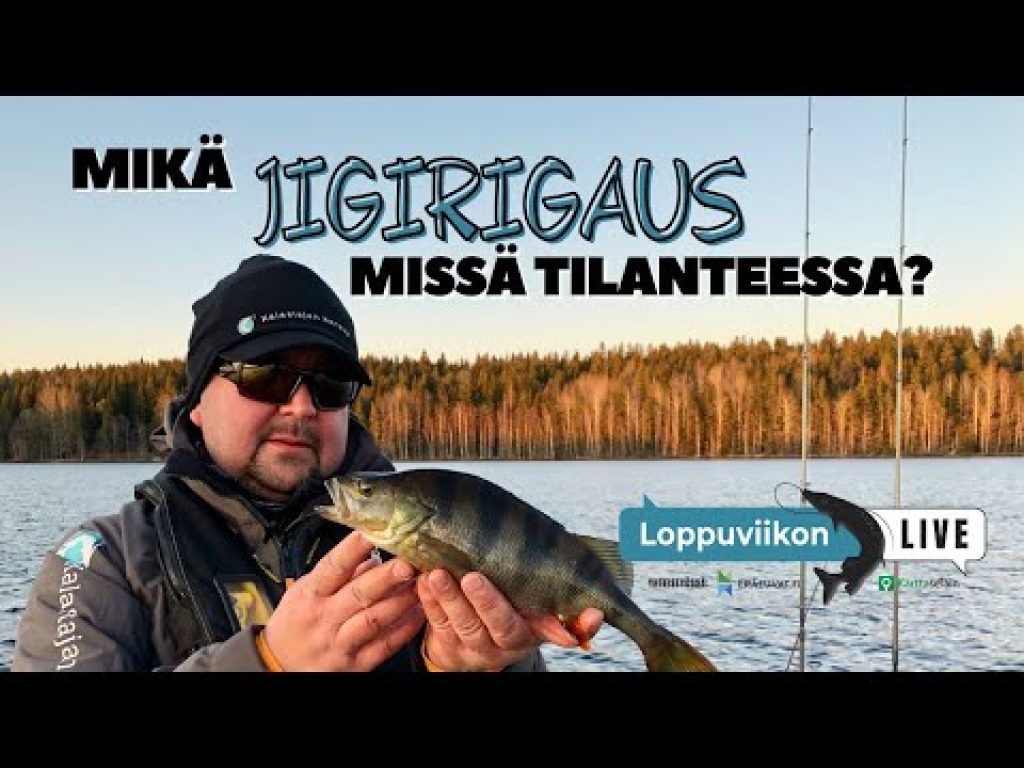 Mikä jigirigaus, missä tilanteessa? | Loppuviikon LivE