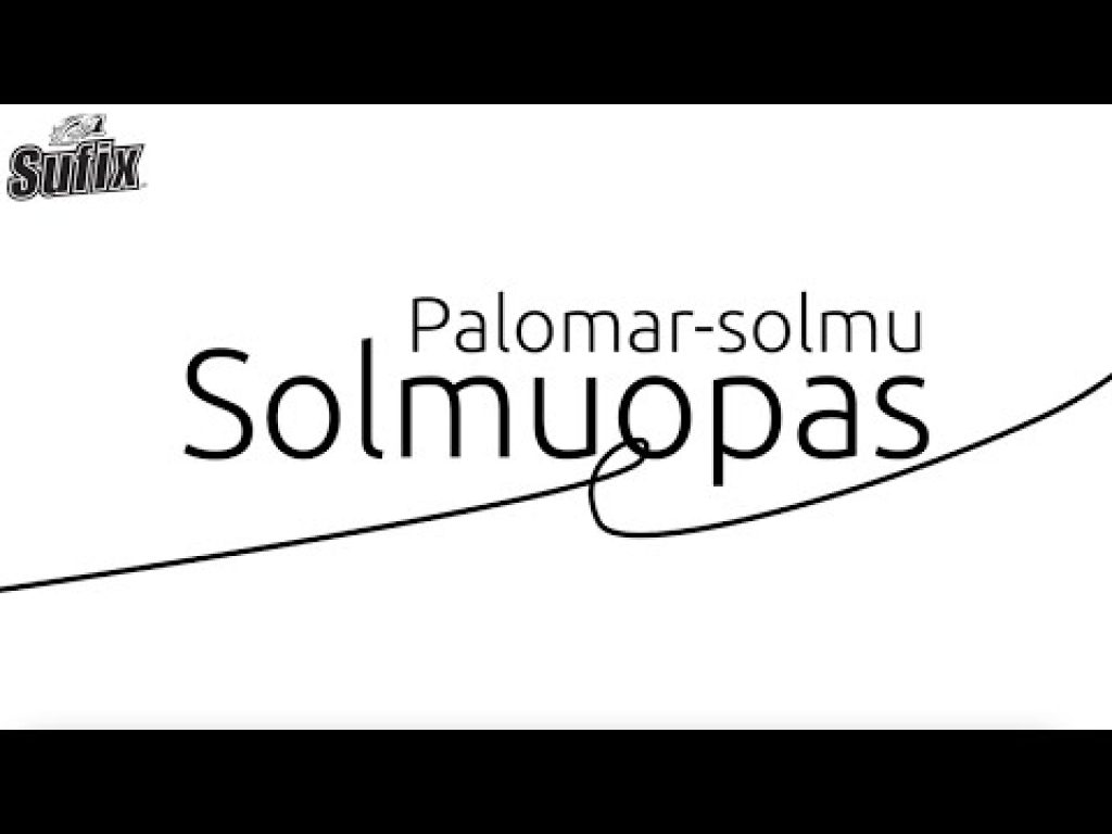 Solmuopas | Palomar-solmu