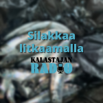 Kalastajan Radio