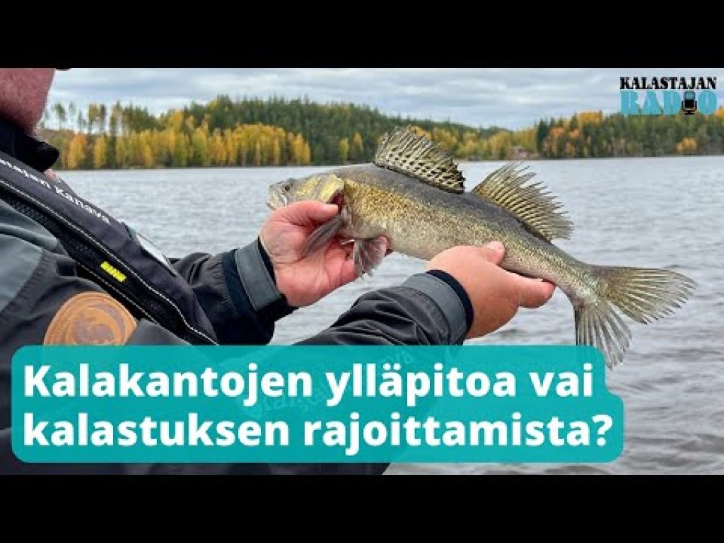Kalastajan Radio Näkökulma: Kalakantojen ylläpitoa vai kalastusrauhoituksia?