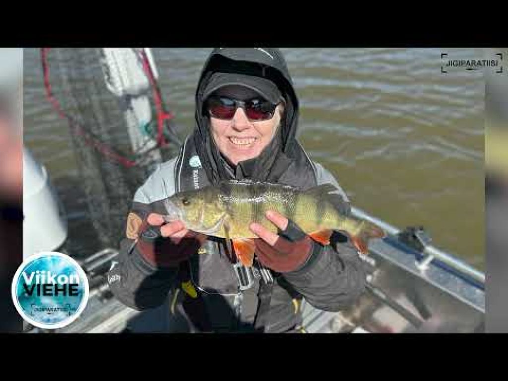 Kelluva jigi Baitjunkie Minnow 3,2″ | Viikon Viehe