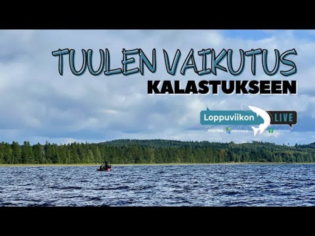 Tuulen vaikutus kalastukseen