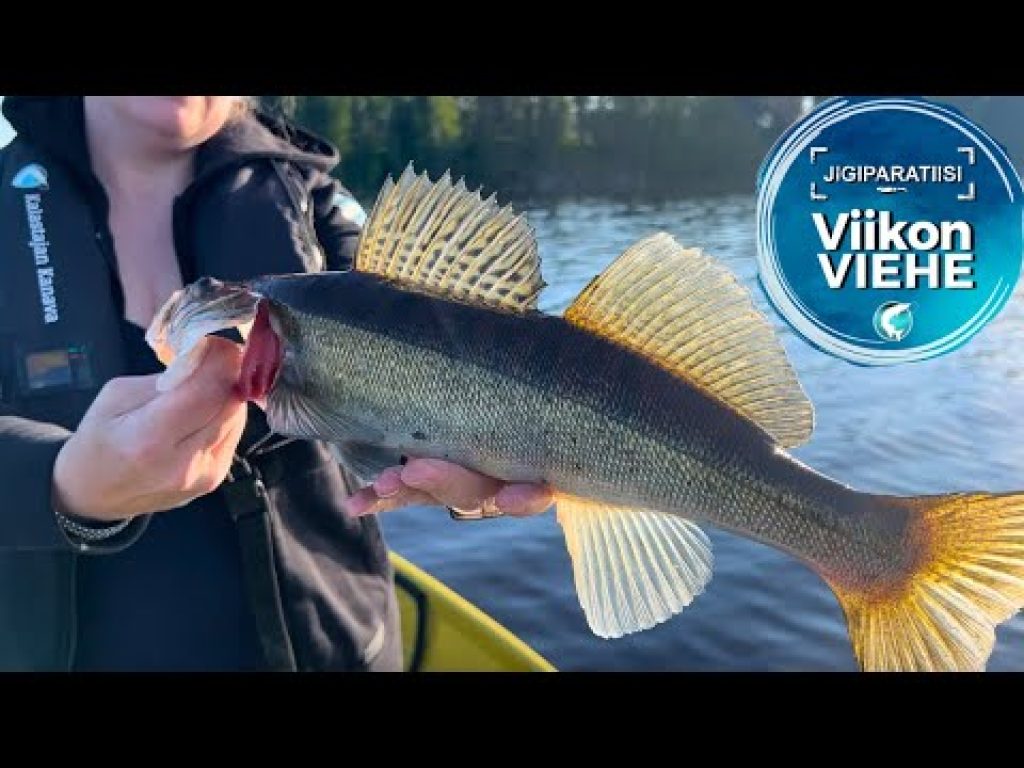 LMAB Bleak Shad 9 cm | Viikon Viehe