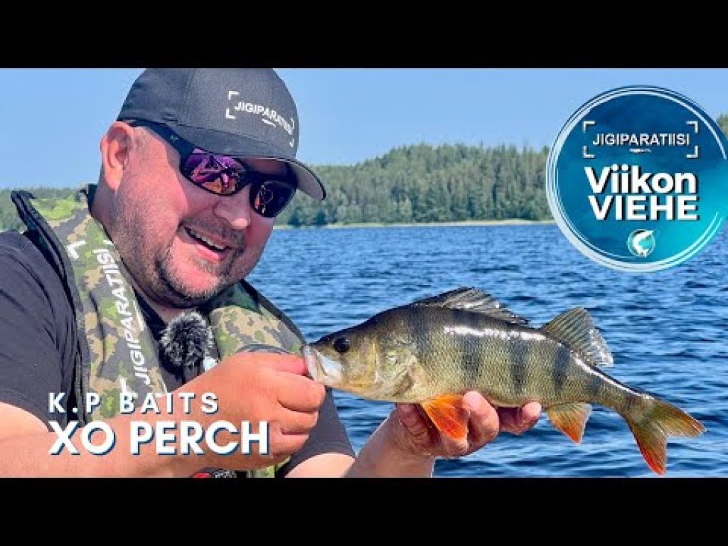 K.P Baits XO Perch -ahvenvaappu | Viikon Viehe