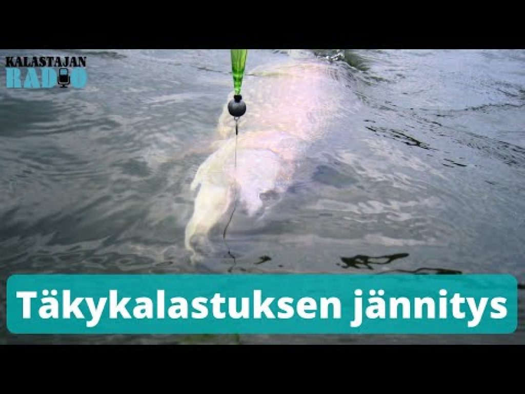 Täkykalastuksen jännitys ⎮ Kalastajan Radio
