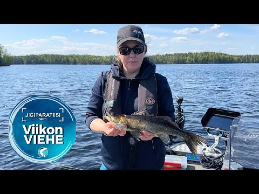 Mikado MFT Roach 8 cm | Viikon Viehe