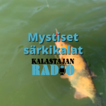 Kalastajan Radio