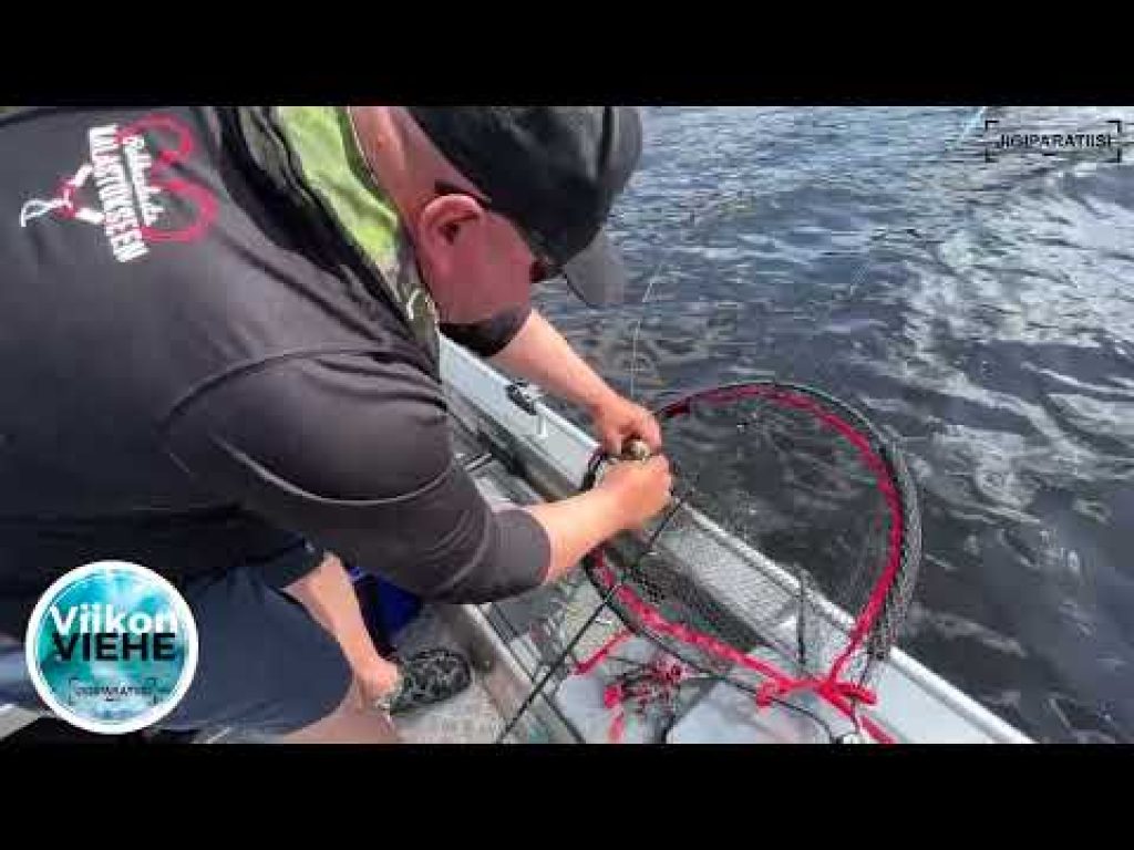 Mikado Fishunter 5 cm | Viikon Viehe