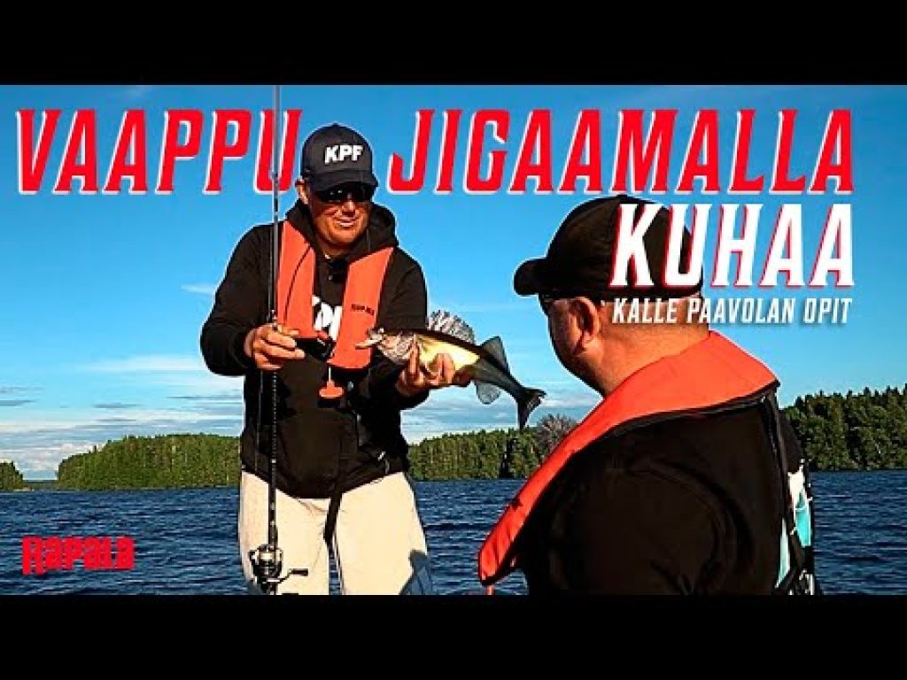 Kuhan vaappujigaus Kallen kanssa