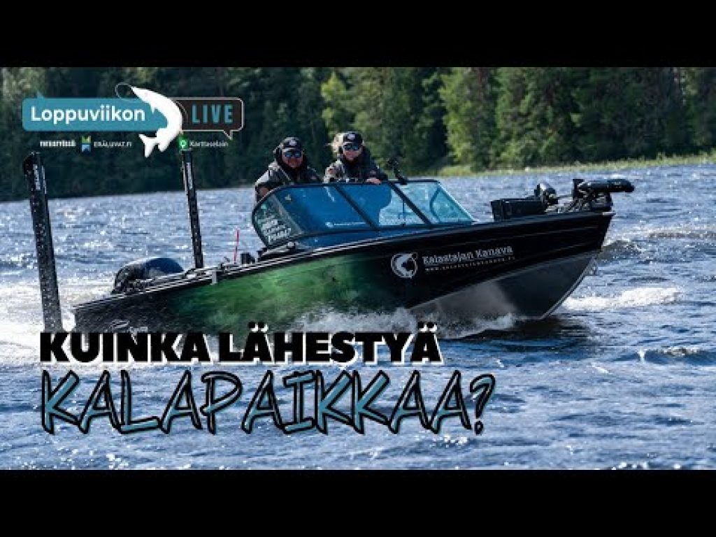 Miten lähestyä kalapaikkaa? | Loppuviikon LivE