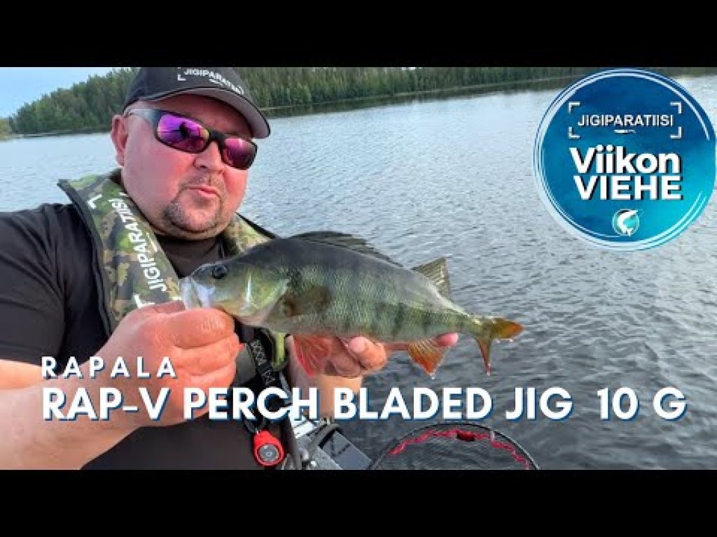 Rapala Rap-V Perch Bladed Jig | Viikon Viehe
