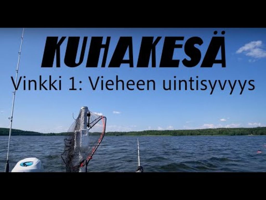 Vieheen uintisyvyys | Kuhakesä uisteluvinkki 1