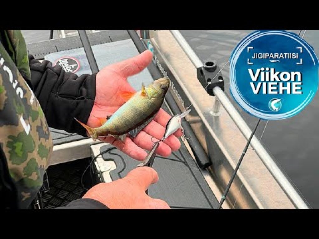 Rapala Shad Rap Elite 5,5 cm | Viikon Viehe