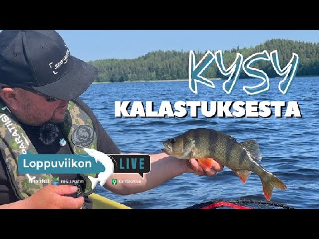 Kysy kalastuksesta | Loppuviikon LivE | Ahventa!