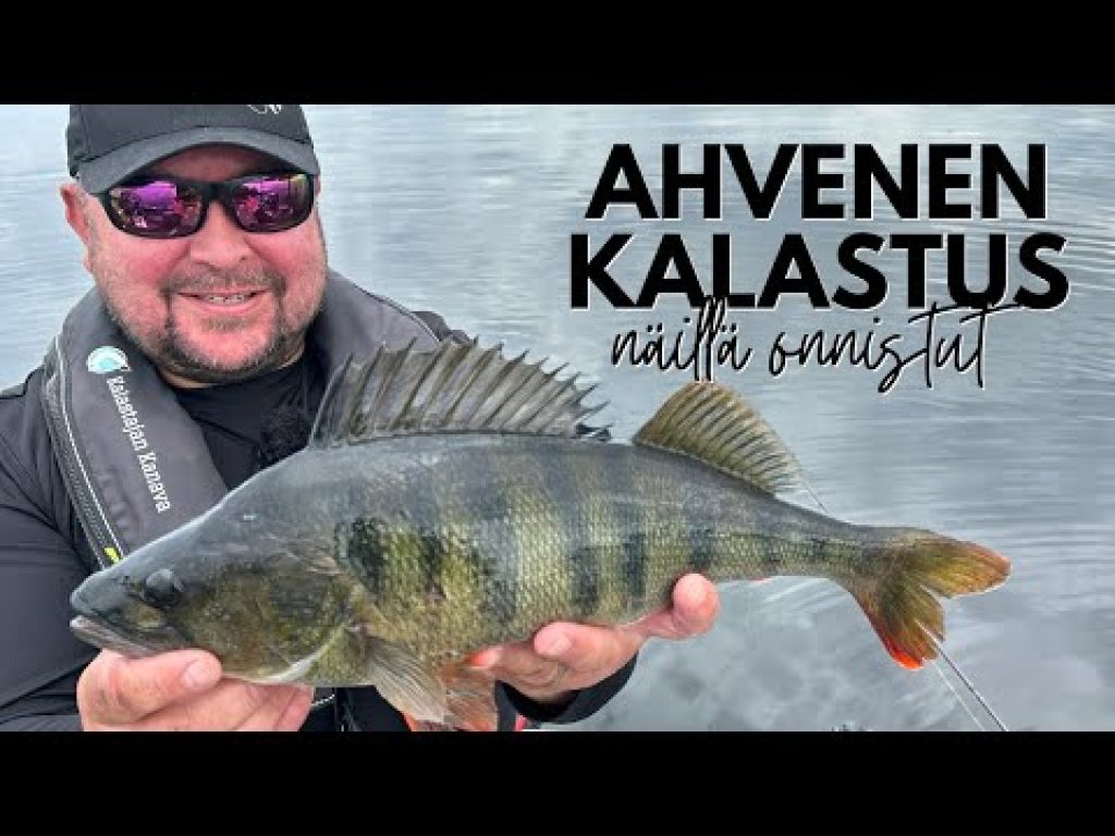 Kilo rikki! Ja vielä kaksi kertaa | Ahvenenkalastus, näillä onnistut