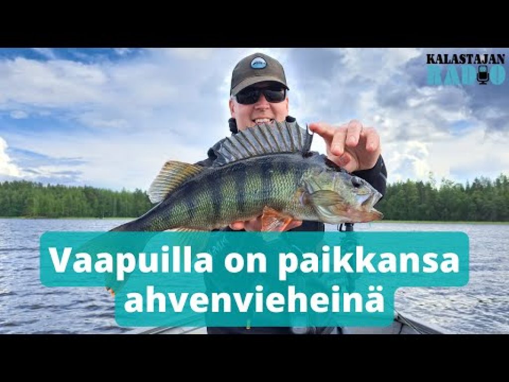Vaapuilla on paikkansa ahvenvieheinä ⎮ Kalastajan Radio