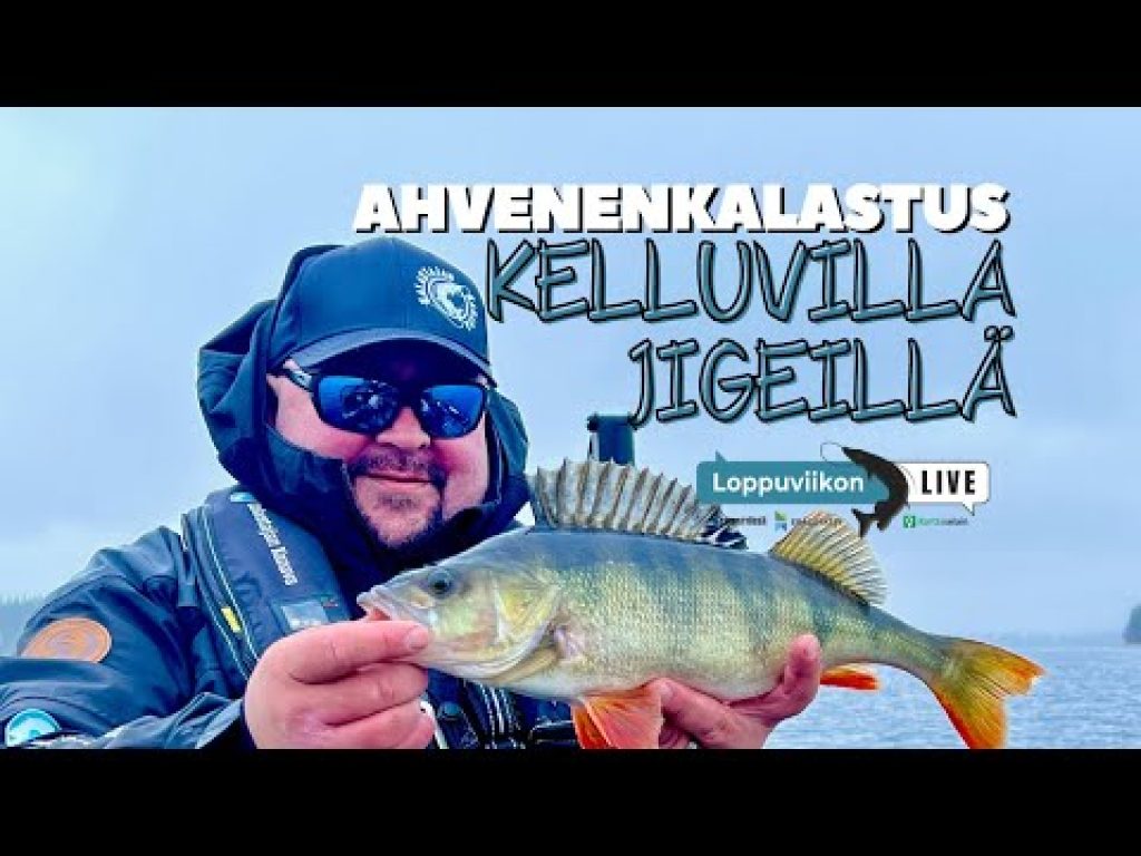 Kelluvilla jigeillä ahvenenkalastus | Loppuviikon LivE