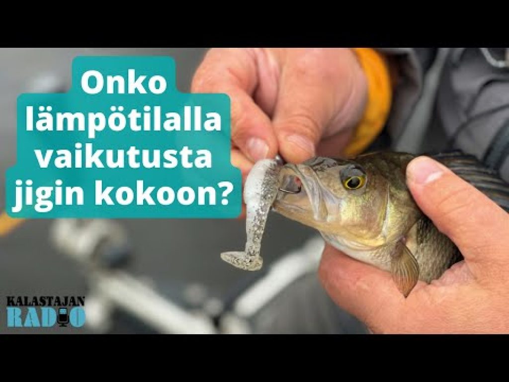Onko lämpötilalla vaikutusta jigin kokoon? ⎮ Kalastajan Radio