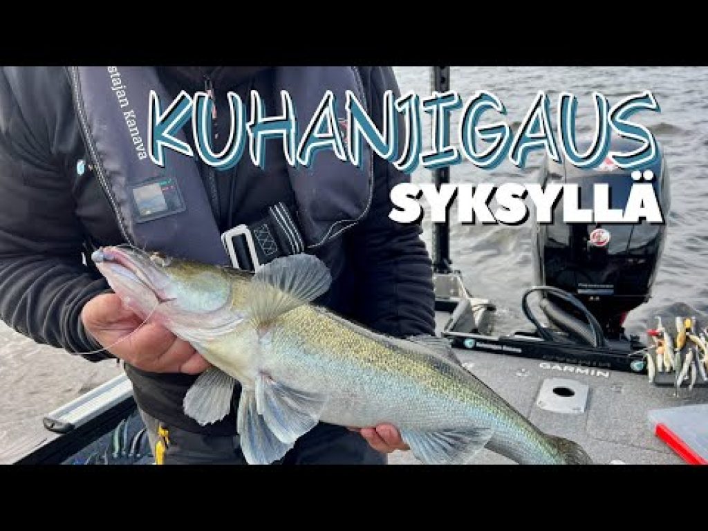 Kuhanjigaus syksyllä | Loppuviikon LivE