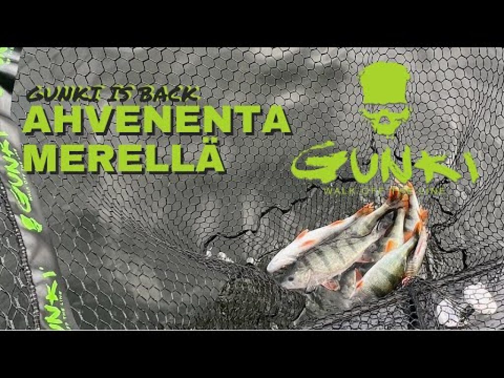 Ahventa mereltä | Gunki is back
