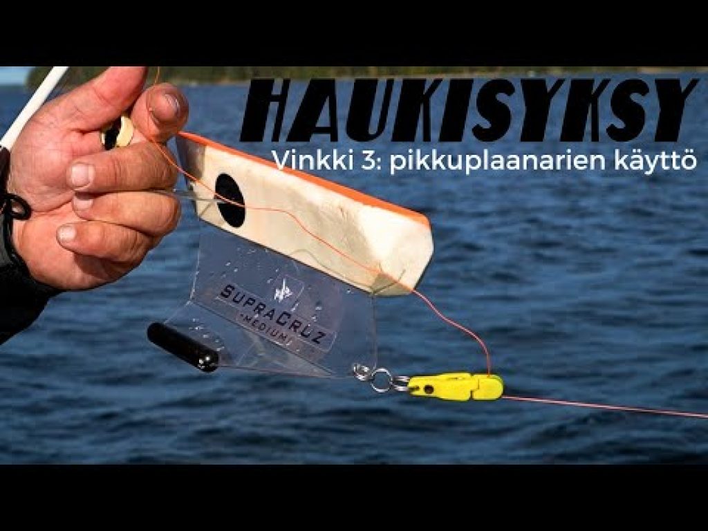 Pikkuplaanarit hauenuistelussa | Haukisyksy uisteluvinkki 3