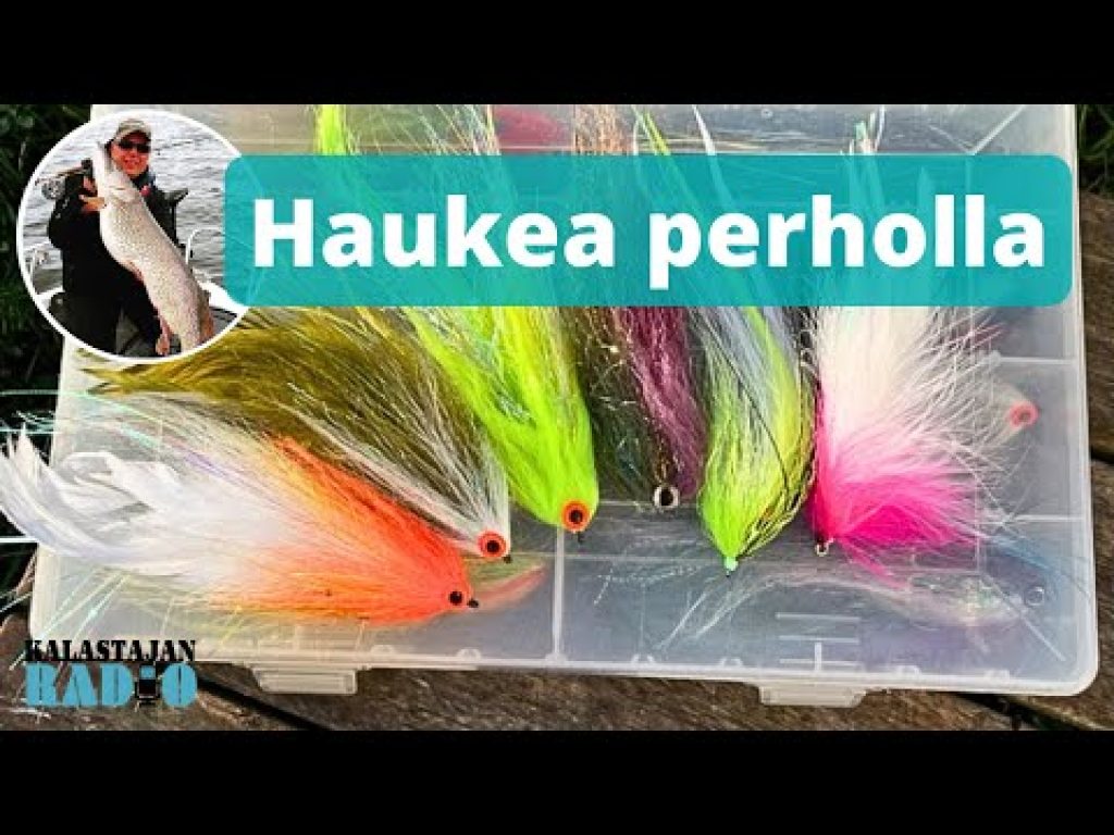 Haukea perholla ⎮ Kalastajan Radio