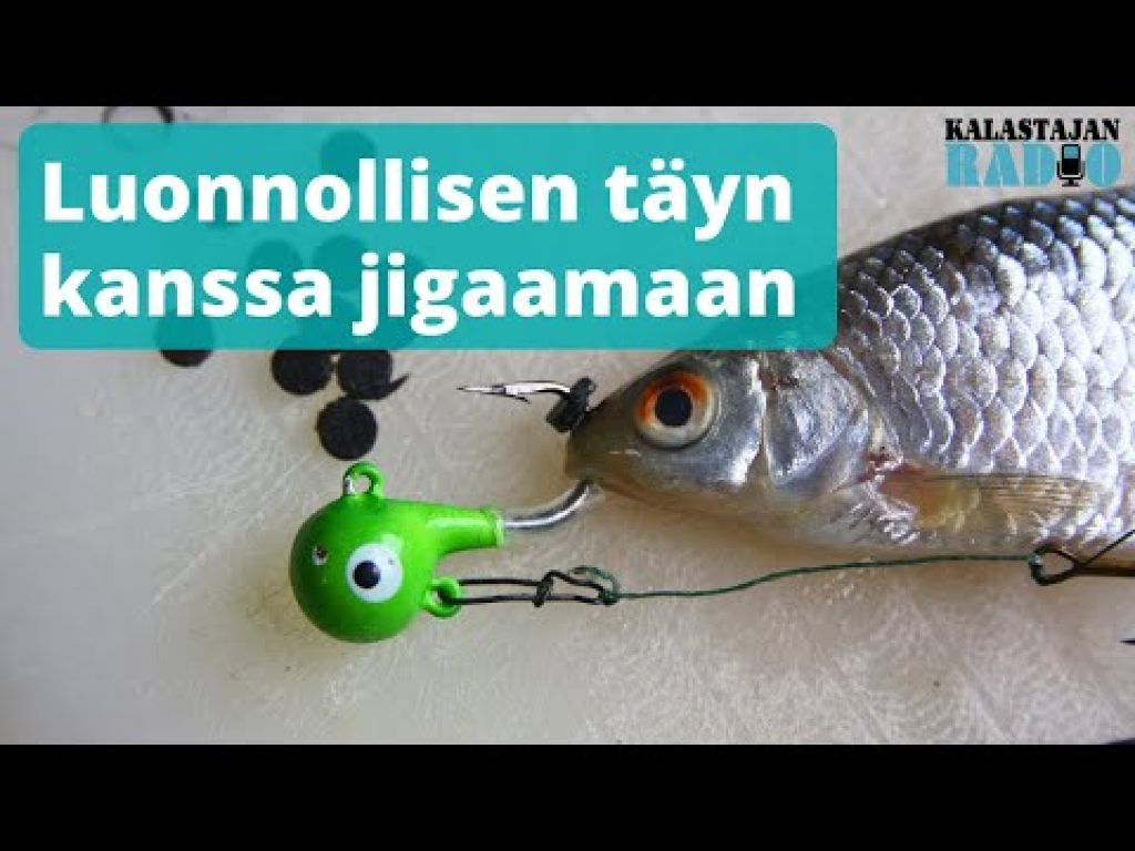 Luonnollisen täyn kanssa jigaamaan ⎮ Kalastajan Radio