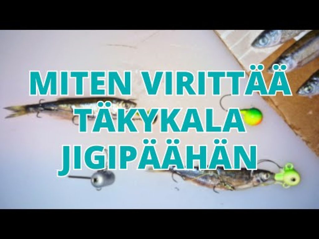 Miten virittää täkykala jigipäähän?