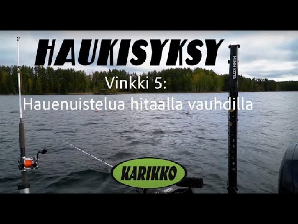 Hauenuistelua todella hitaasti | Haukisyksy-vinkki