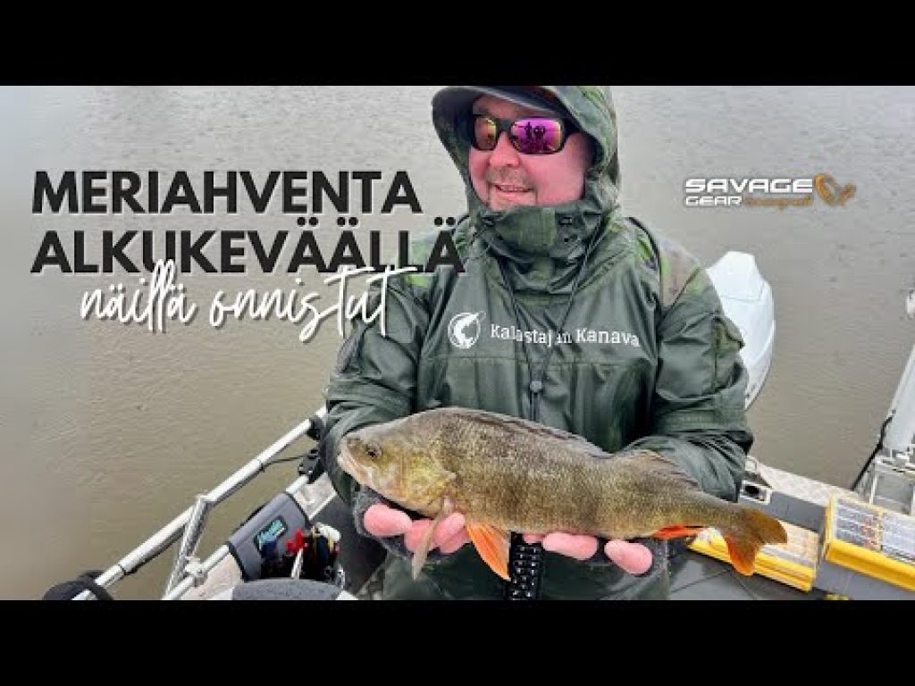 Ahventa mereltä alkukeväästä  | Näillä onnistut