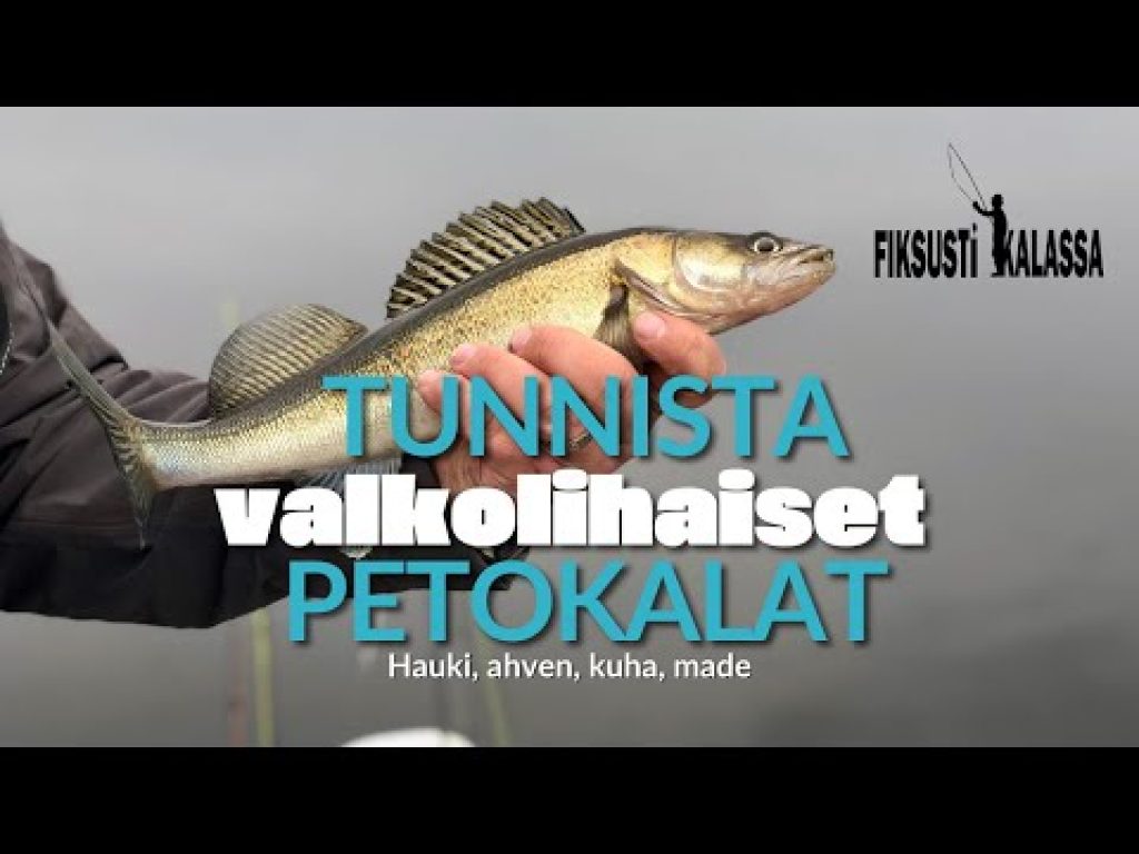 Tunnista petokalamme | Fiksusti kalassa
